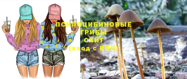 крисы Кулебаки