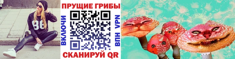 Псилоцибиновые грибы мицелий Ермолино