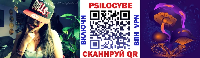 Псилоцибиновые грибы Cubensis  Ермолино 